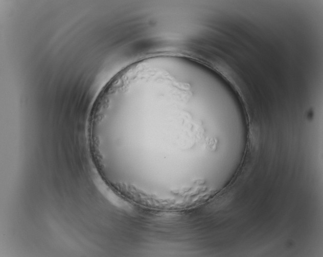 X0000112501482200908241338