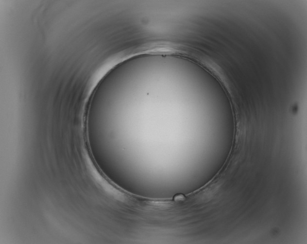 X0000112501483200908241338