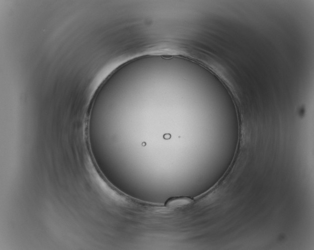 X0000112501484200908241338