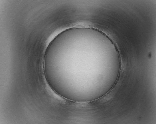 X0000112501486200908241338