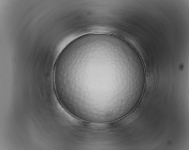 X0000112501487200908241338