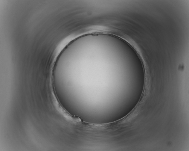 X0000112501488200908241337