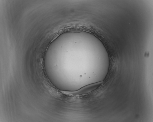 X0000112501489200908241337