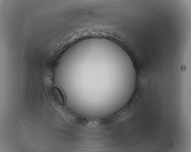 X0000112501490200908241337