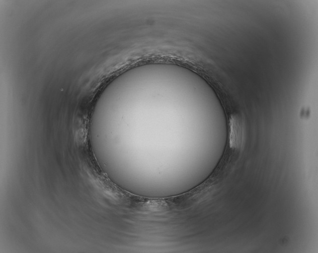 X0000112501491200908241337