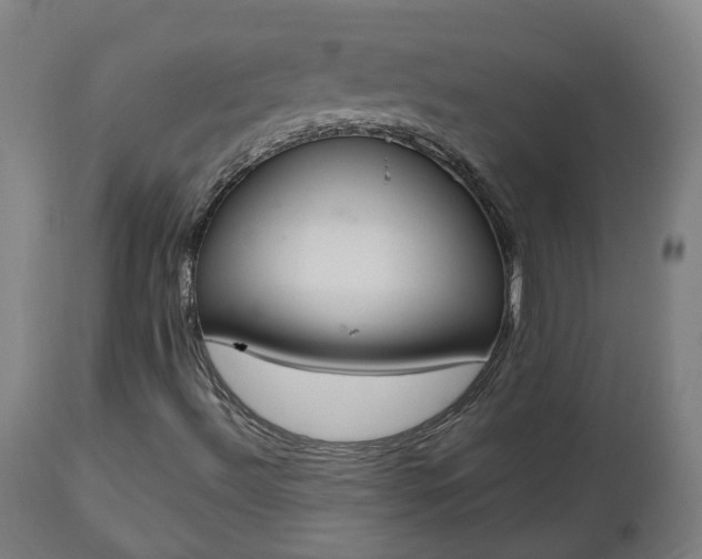 X0000112501492200908241337