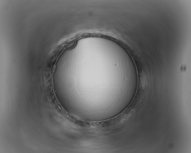 X0000112501494200908241337