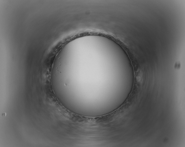 X0000112501495200908241337