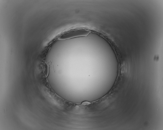 X0000112501496200908241337