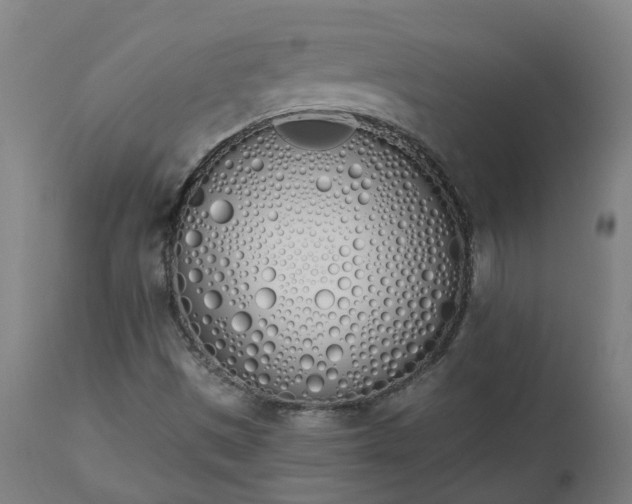 X0000112501497200908241337