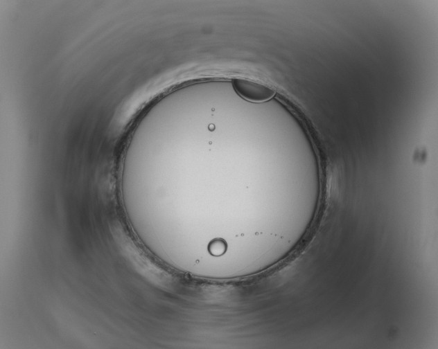 X0000112501498200908241337