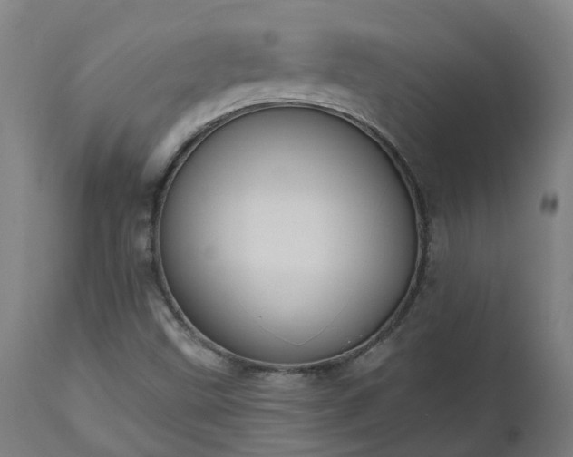 X0000112501499200908241337