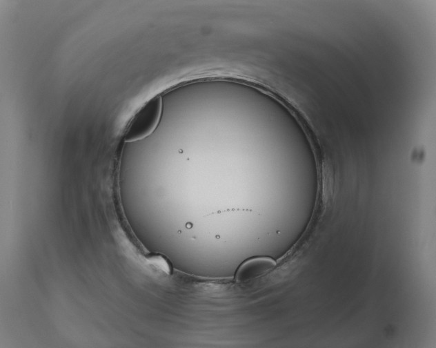 X0000112501500200908241337