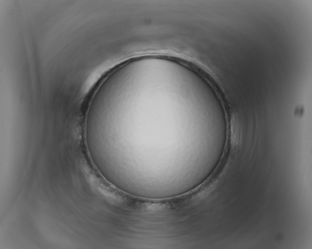 X0000112501501200908241337