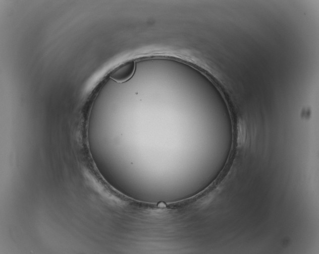 X0000112501502200908241337