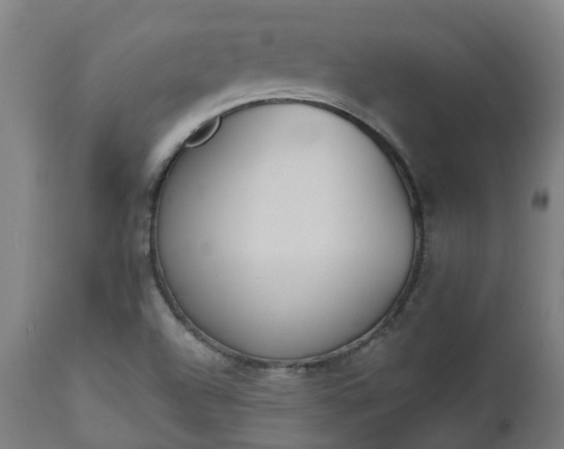 X0000112501504200908241337