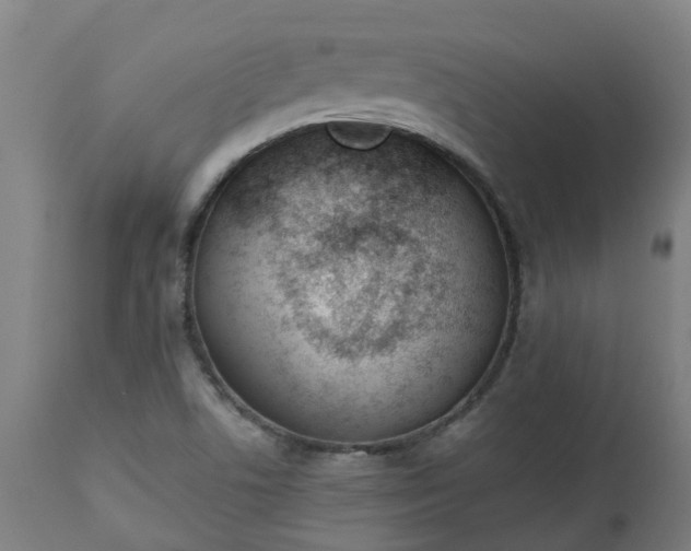 X0000112501506200908241337