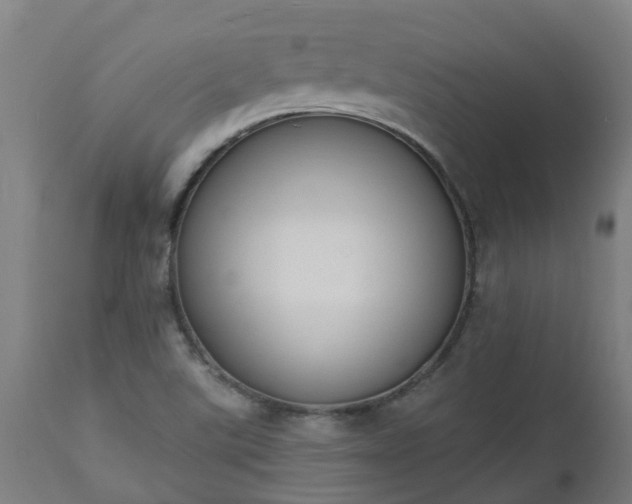 X0000112501507200908241337