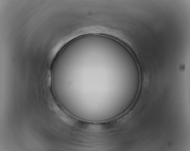 X0000112501509200908241337