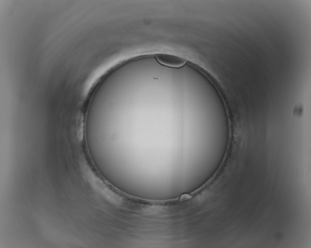 X0000112501510200908241337