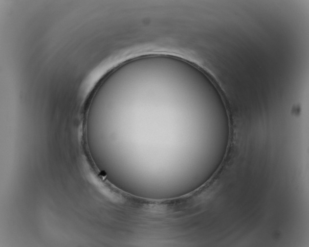 X0000112501511200908241337