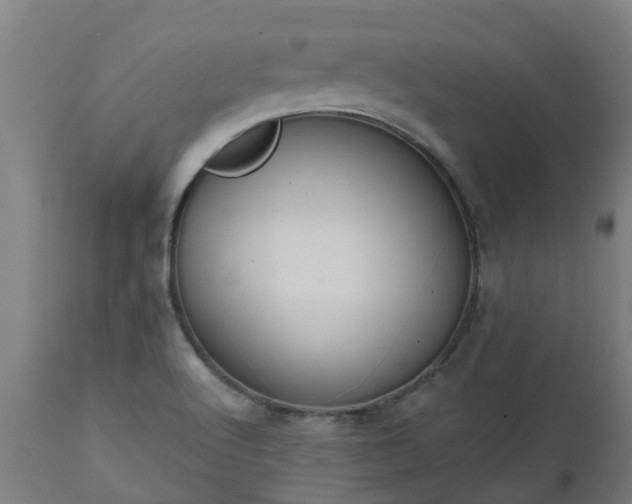 X0000112501512200908241337