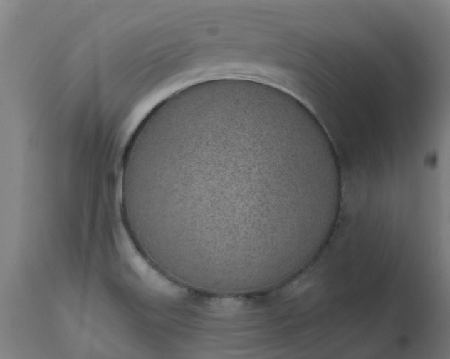 X0000112501515200908241337