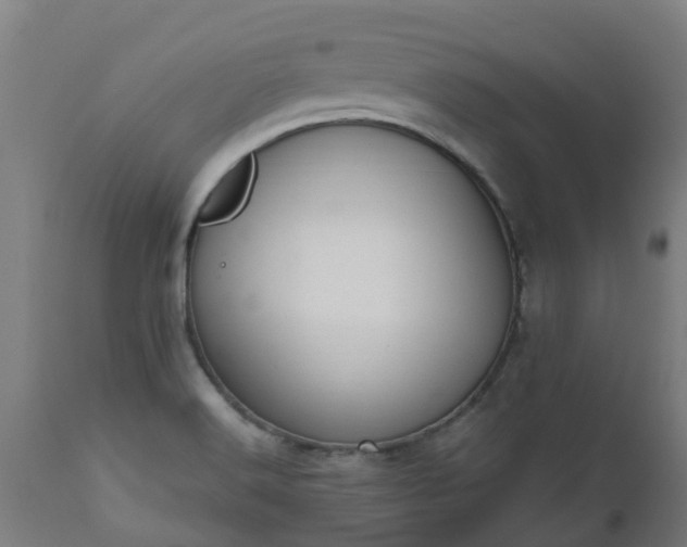 X0000112501516200908241337