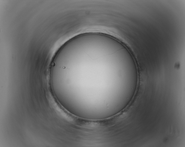 X0000112501517200908241337