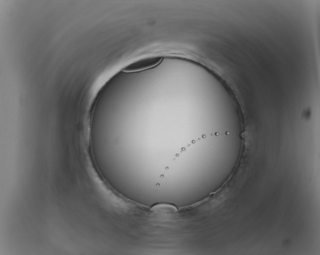 X0000112501520200908241337