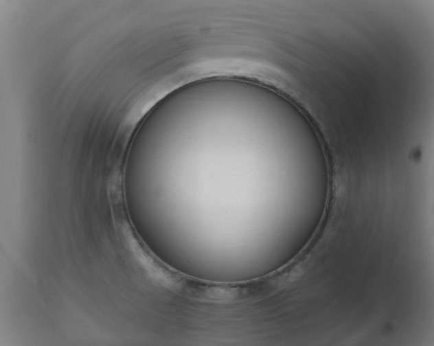 X0000112501521200908241337