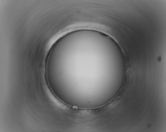 X0000112501523200908241337