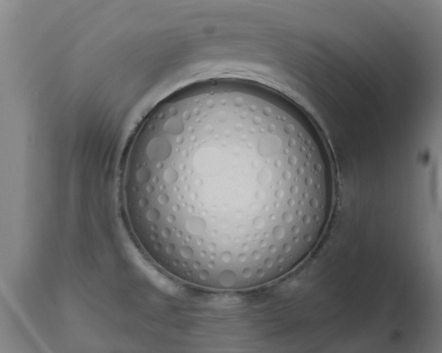 X0000112501525200908241337