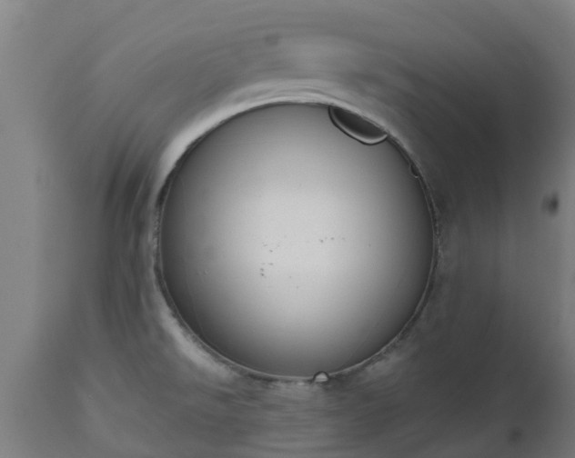 X0000112501526200908241337