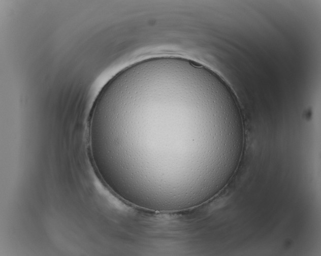 X0000112501527200908241337