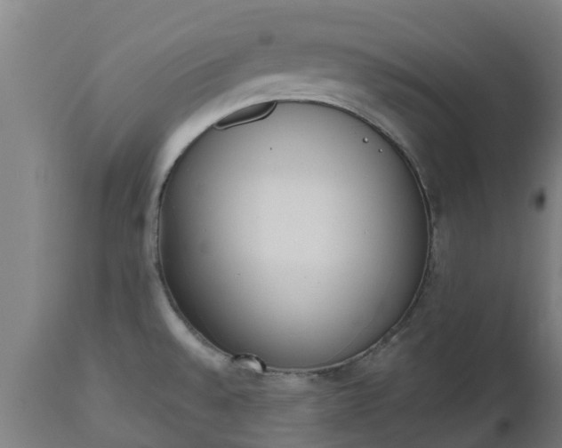 X0000112501528200908241337