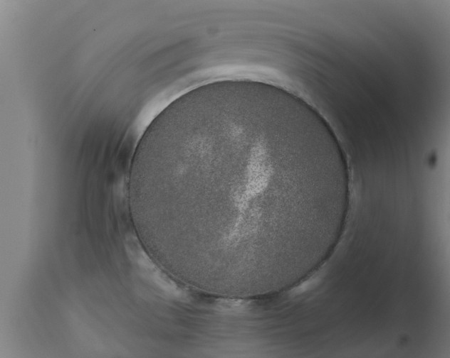 X0000112501529200908241337