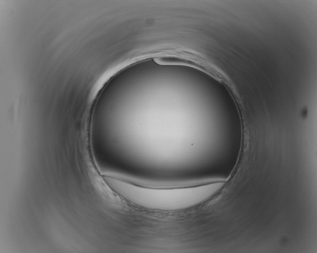 X0000112501530200908241337