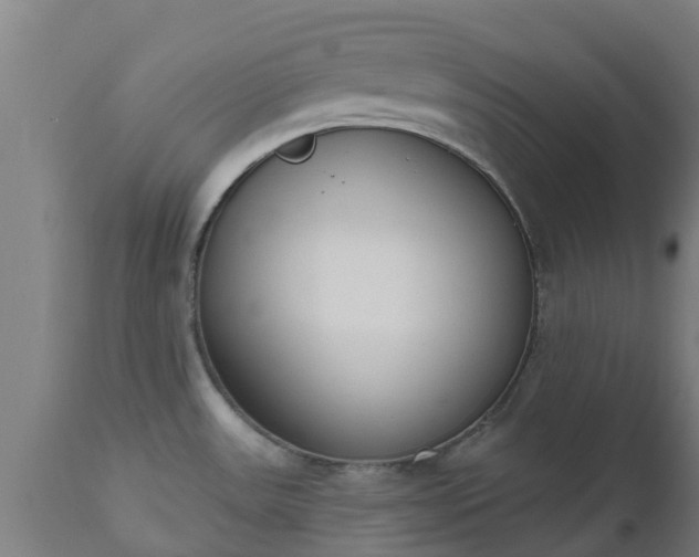 X0000112501531200908241337