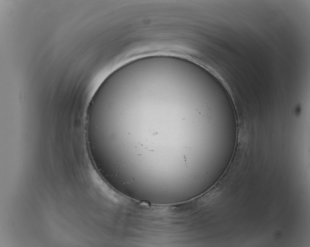 X0000112501532200908241337