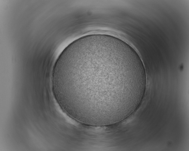 X0000112501533200908241337