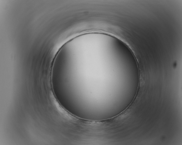 X0000112501534200908241337