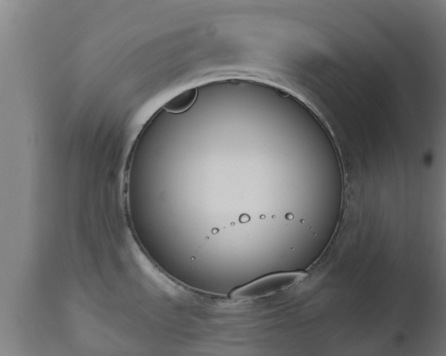 X0000112501535200908241337