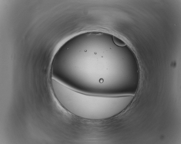 X0000112501536200908241337