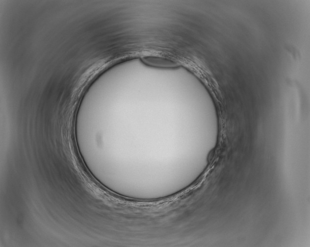 X0000112500001200908311502