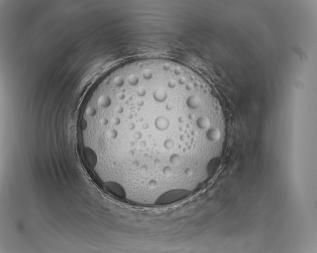 X0000112500002200908311502