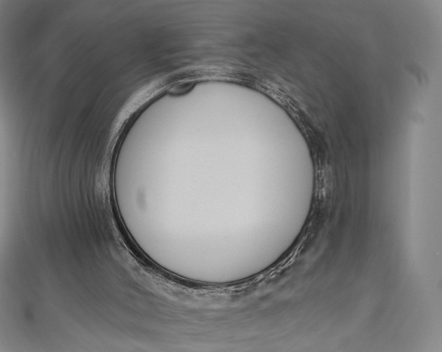 X0000112500004200908311502