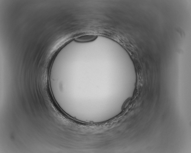 X0000112500005200908311502