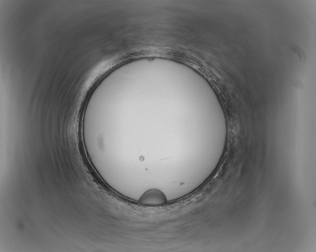 X0000112500006200908311502