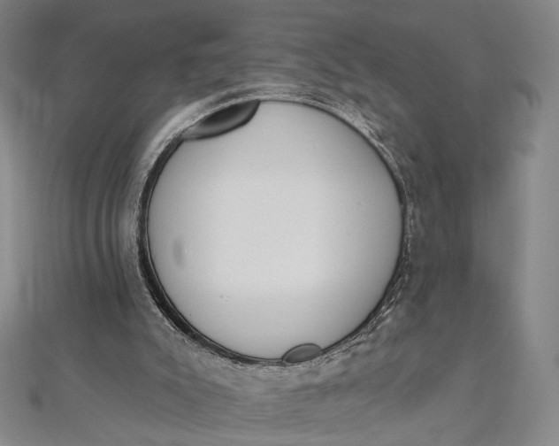 X0000112500007200908311502